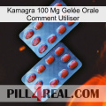 Kamagra 100 Mg Gelée Orale Comment Utiliser 05